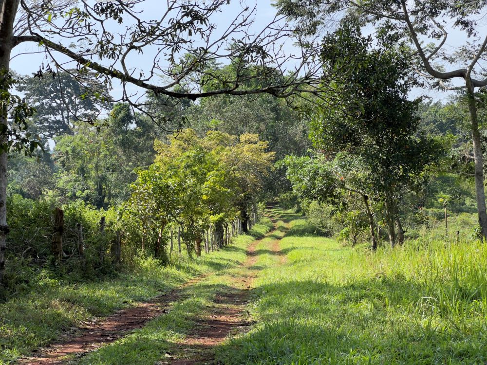 Mbarara Estates