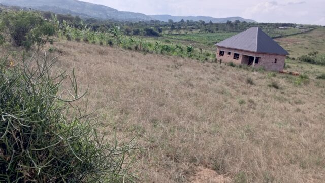 Land for sale